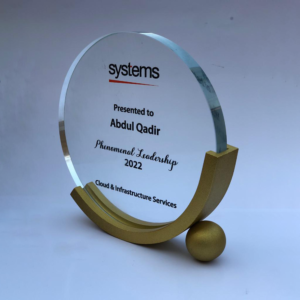 Executive Crystal Award