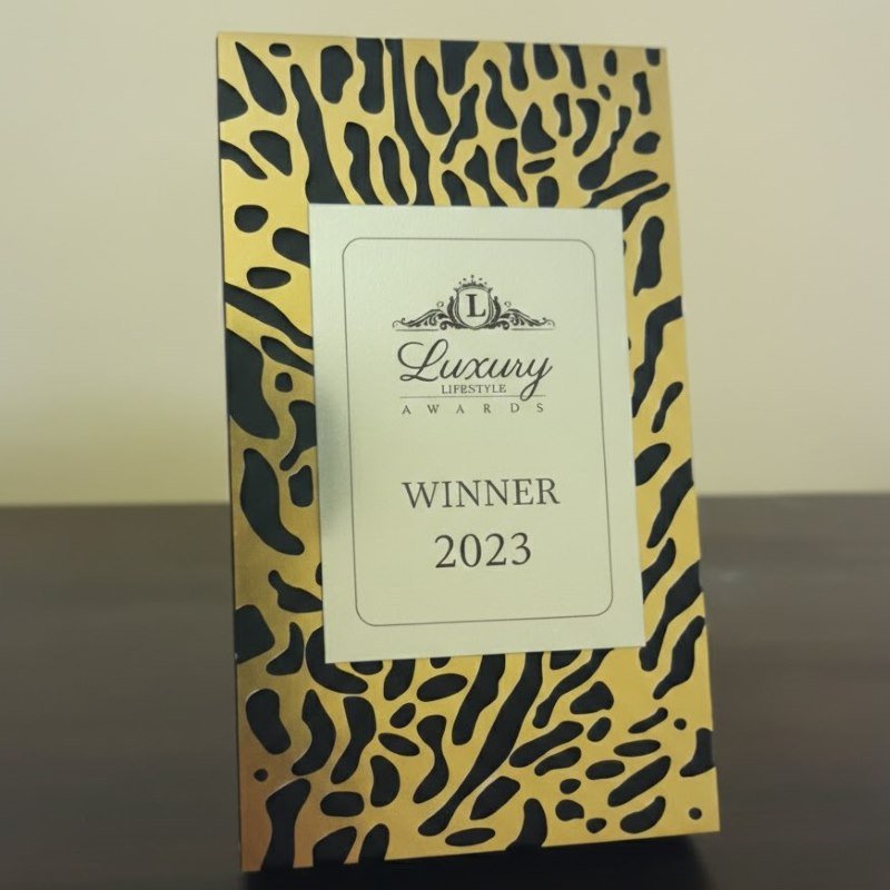 Team Excellence Award